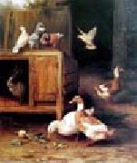 unknow artist Duck and Pigeon oil painting artist
